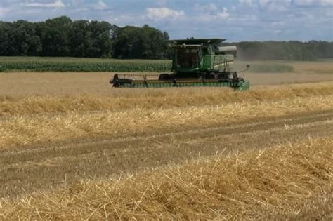 Wheat Harvest Update Life on the Farm with FVTC