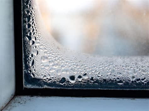 Basement Condensation: Prevent Sweating Concrete Walls