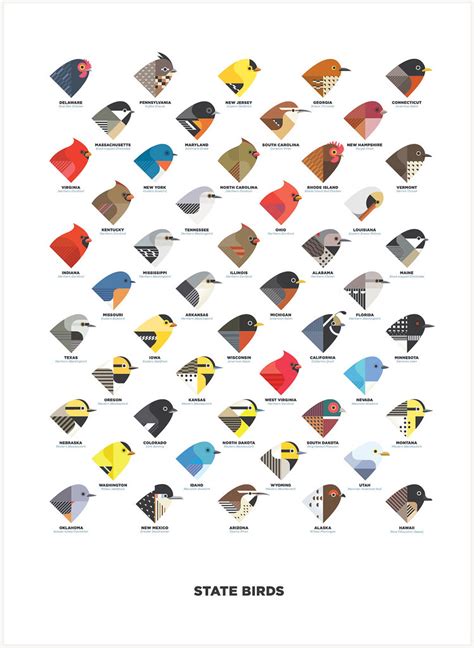 State Birds | Digital illustration of the 50 state birds, or… | Flickr