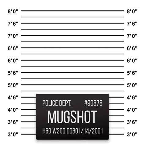 Photo: mugshots template | Police mugshot template — Stock Vector © Alhovik #111811180