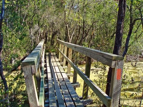 Florida Trail, Eglin East | Florida Hikes!