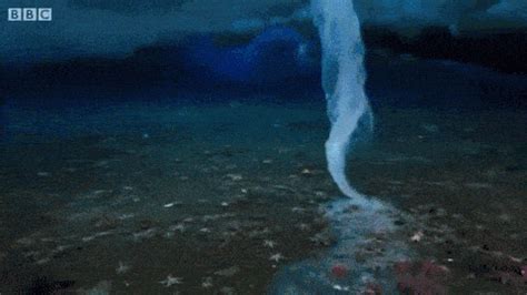 Brinicles under Antarctica: the underwater icicles with a touch that ...