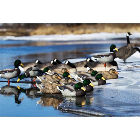 Dakota Decoys Mallard Resting Floating 6 Pack