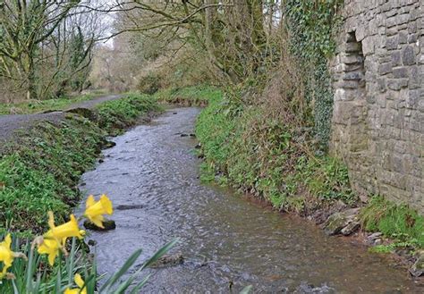 Photos of Ritec Valley Cottages Tenby, St Florence