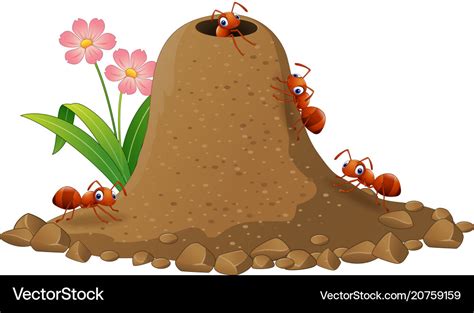 Little Ant Cartoon
