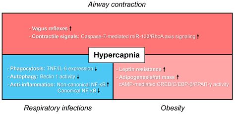 JCM | Free Full-Text | Hypercapnia: An Aggravating Factor in Asthma