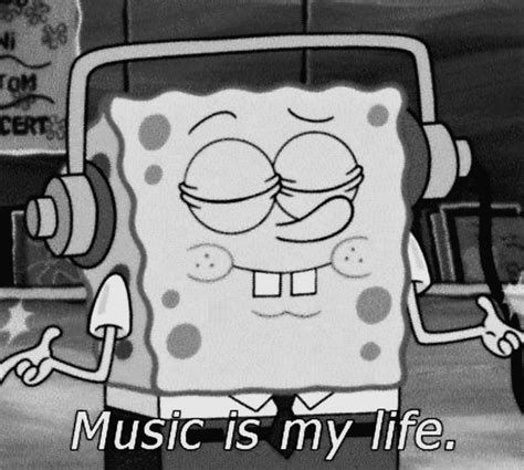 TrapGypsy | Spongebob, Music is life, Funny