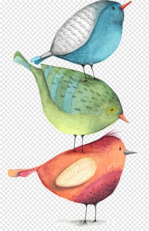 Birds collection, cartoon bird, hand painted, watercolor png | PNGWing