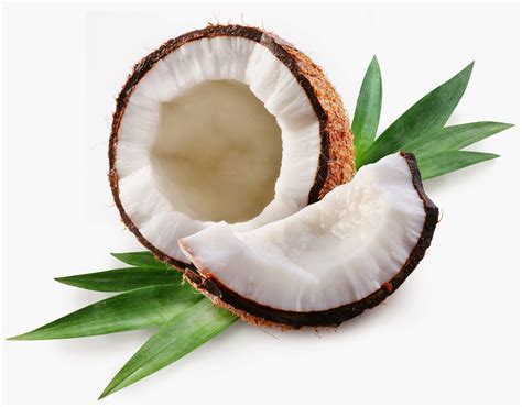 ULEI DE COCOS RAFINAT vs ULEI DE COCOS NERAFINAT | Sapun natural