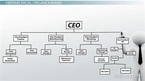 Organogram | Definition, Types & Examples - Lesson | Study.com