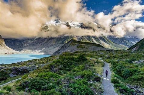 HIKING in NEW ZEALAND - The Ultimate Trekking Guide [2024]