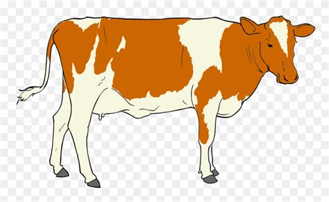 Dairy Cattle Milking Clip Art - Cow Udder Clipart - FlyClipart