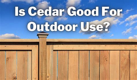Is Cedar Good For Outdoor Use? All You Need To Know!