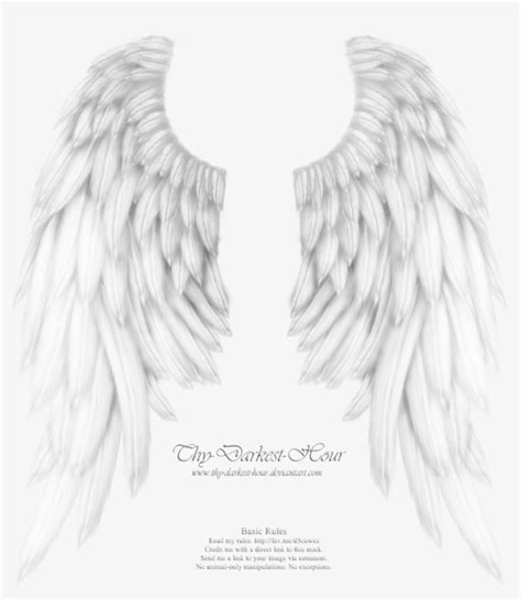 Svg Library Download Angels Drawing Realistic - White Angel Wings ...