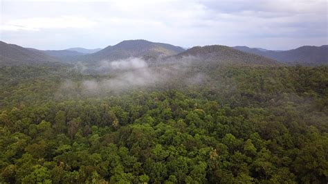 Aerial 4k footage from a drone above a tropical rain forest in Thailand ...