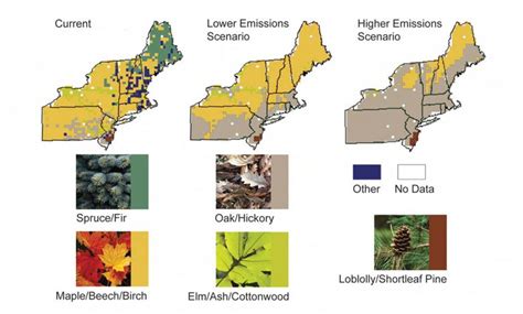 Climate Impacts in the Northeast | Climate Change Impacts | US EPA