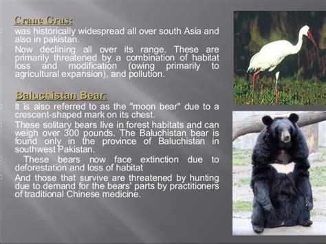 Endangered species in Pakistan