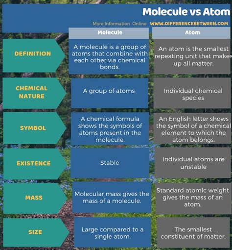 Difference Between Molecule and Atom | Compare the Difference Between ...