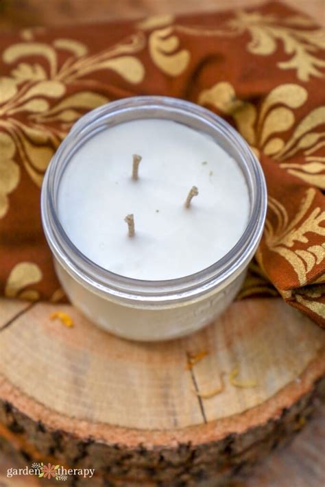 How to Make Simple 3 Wick Candles - Garden Therapy