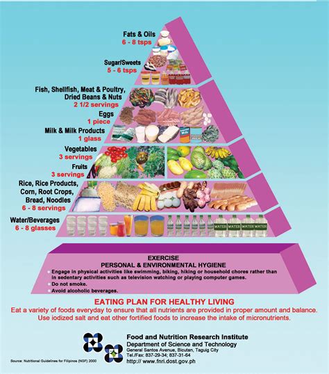 Nutrition Guide Pyramid