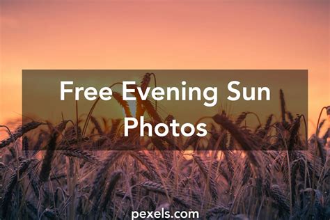 Free stock photos of evening sun · Pexels