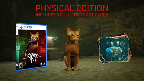 Physical Version of Stray gets Exclusive Edition and Vinyl, PS4 Release Date - EIP Gaming