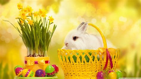 30+ Easter Bunny Wallpapers, Backgrounds, Images | FreeCreatives