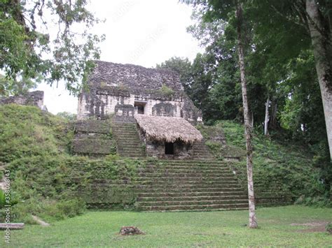 TIKAL NATIONAL PARK, PETEN, GUATEMALA Stock Photo | Adobe Stock