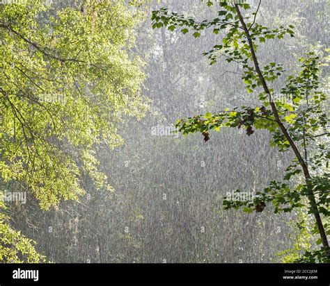 Late afternoon summer sun shower in North Florida Stock Photo - Alamy