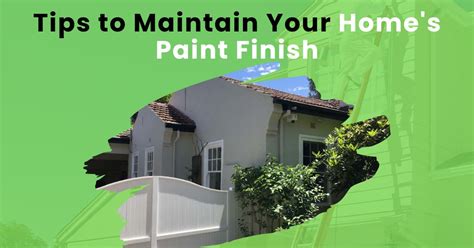 Here’s What Professional Painters Can Do For Your Home