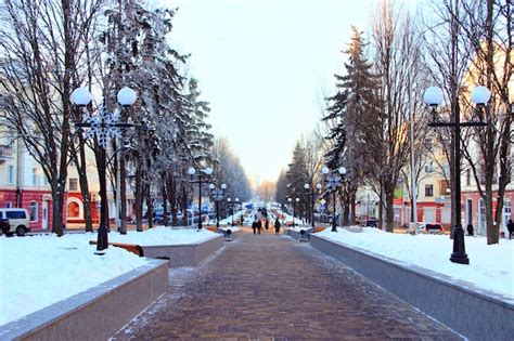 Premium Photo | Winter park with many big trees and path beautiful park alley with bench and ...