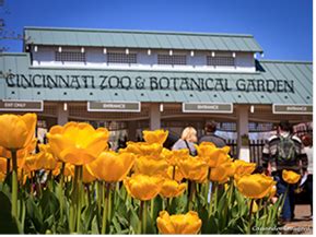 It’s Bloomin’ Awesome at the Cincinnati Zoo & Botanical Garden - Cincinnati Zoo & Botanical Garden®