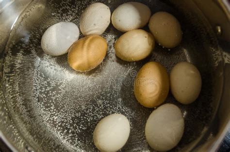 Boiling Eggs in Hot Water in the Pot Stock Photo - Image of meal, cooking: 142376702