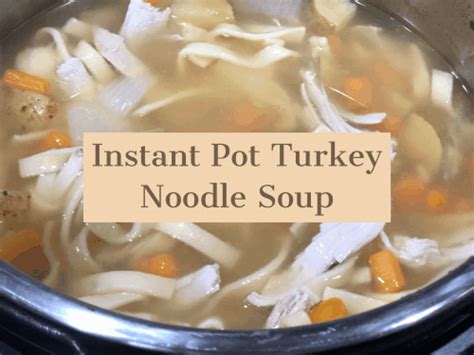 Instant Pot Turkey Noodle Soup - A Sparkle of Genius