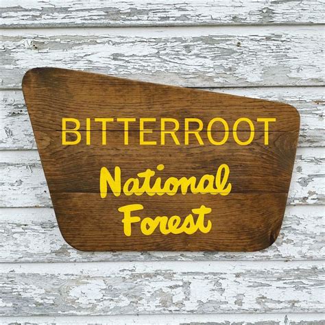 Custom National Forest Sign national park sign forest | Etsy | Hand painted signs, Hand painted ...