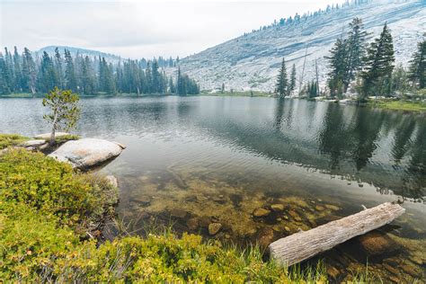 Fishing & Flowers at Sunrise Lakes in Yosemite | Aspiring Wild