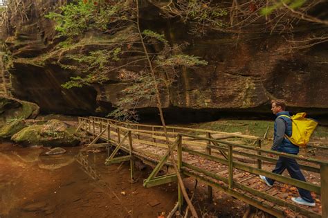 Dismals Canyon: Alabama's Most Unexpected Natural Treasure