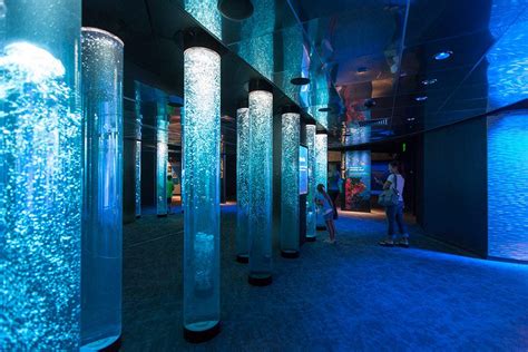 National Aquarium in Baltimore Exhibit Design | CambridgeSeven