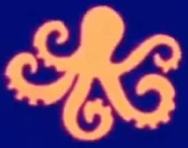 Southern Sand Octopus | Animals Wiki | Fandom