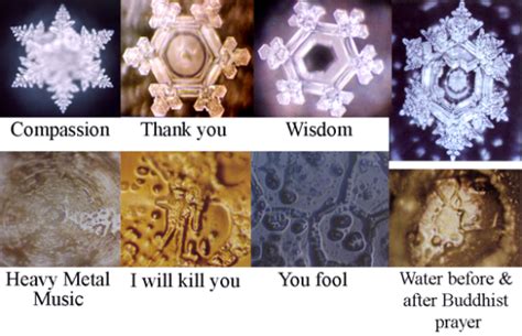 Dr. Emoto's Amazing Water Crystal Photosnikkenergy ~ it's all just energy