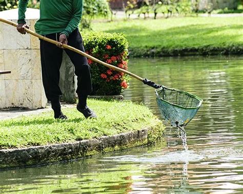 Elzy Mill: Your Premier Pond Supplier & Maintenance Expert