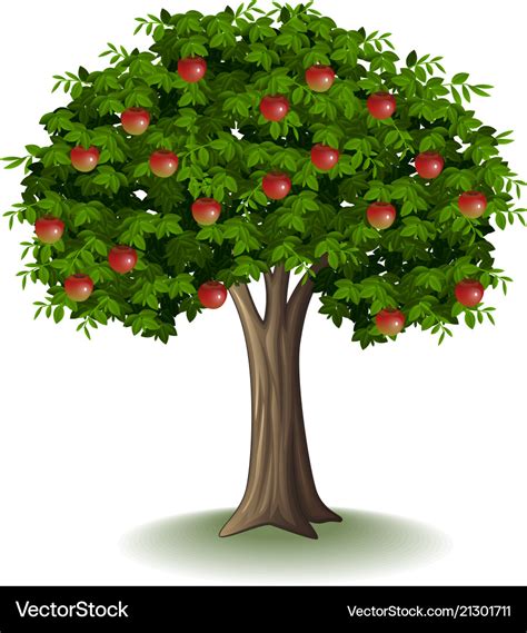 Red apple on apple tree Royalty Free Vector Image