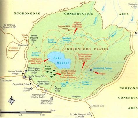 Ngorongoro Crater Map - map of ngorongoro crater