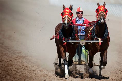 BRIANA SCROGGINS: Chariot Racing