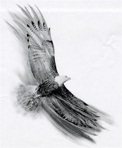 Soaring Eagle by Basixofblack on DeviantArt