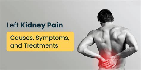 Left Kidney Pain: Causes, Symptoms, and Treatments