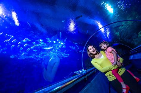 Aquaria KLCC - MalaysiaTravel