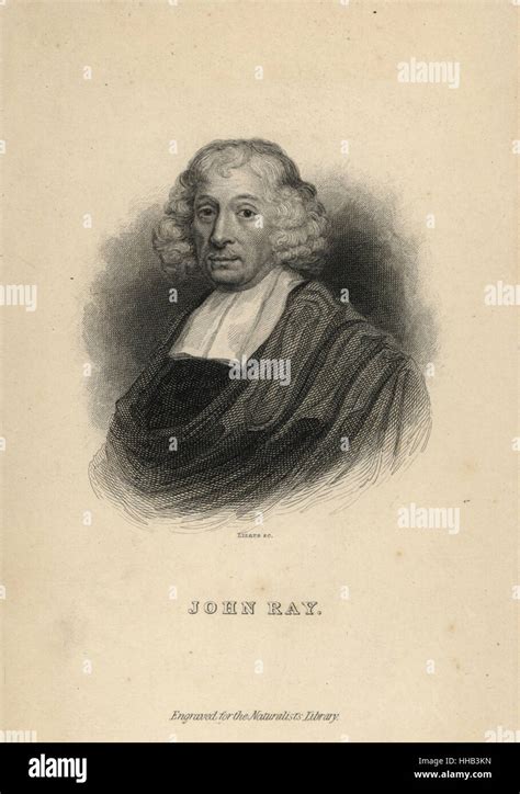 John Ray, English botanist and zoologist, author of Historia Plantarum (1627-1701). Portrait ...