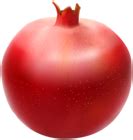 Pomegranate PNG Transparent Clip Art Image | Gallery Yopriceville - High-Quality Free Images and ...