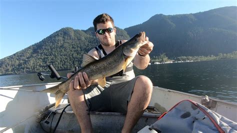 Fishing for GIANT Northern Pike Minnow on Shuswap Lake I Catch and Cook! - YouTube